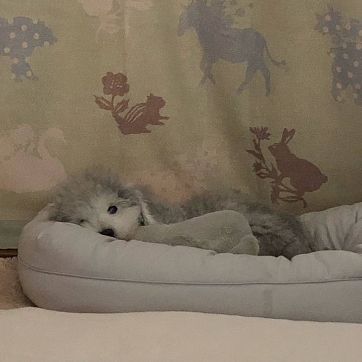 0eb9c16a fd58 43e9 b7ce d2eda1745e32 1624159904382