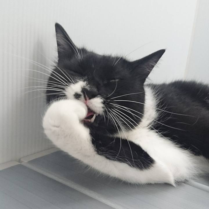 0eba49b0 1245 45fa 8470 740f83bb5a0f 1528645855231