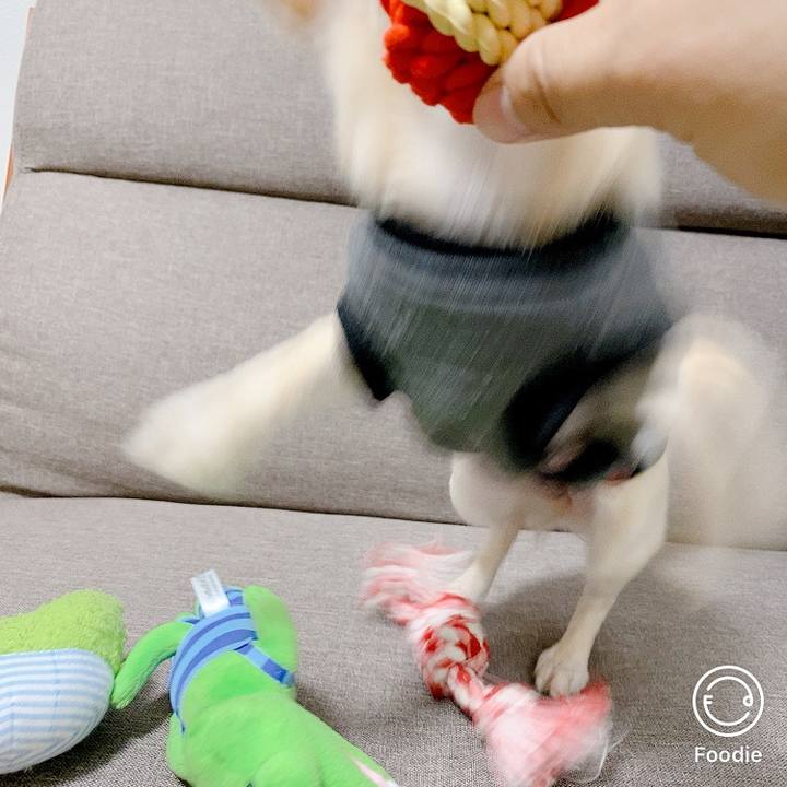 0eba6aaa a60e 4c6c 8078 91cf55b509ad 1600934896965