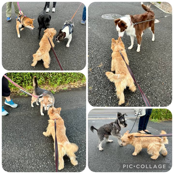 0eba8159 d24e 42ca 98d3 b7fc30a3c724 1728033604996