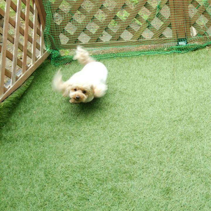 0eba8e4c 61f0 4045 afcb e34be05dcb18 1555673854209