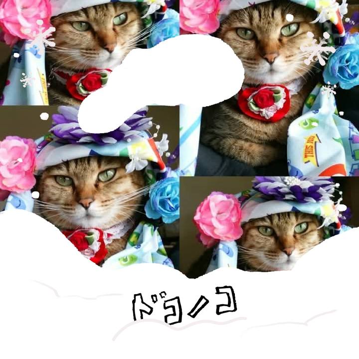 0eba92d2 b55d 4682 8a4a 7c62fbc929af 1772238021970