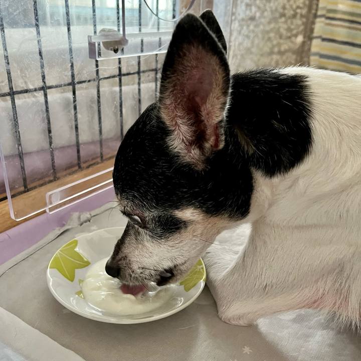 0ebad994 2b7c 43fe 9b7c 98cb6e840b51 1659047214439