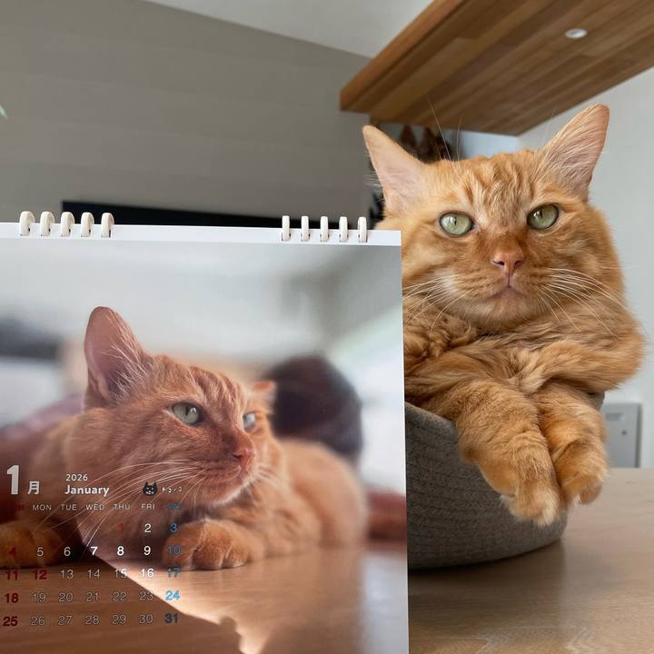 0ebae948 c2b1 4f7f bcd5 84388ead93cf 1767927315059