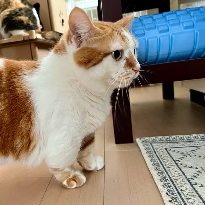 0ebaf414 cd6e 4eaa b8dc cb6d1d181e07 1756180592374