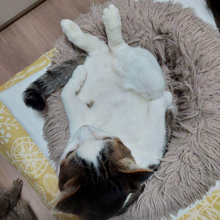 0ebb11e6 9c4b 41c9 9453 00478cc1a714 1744926576093