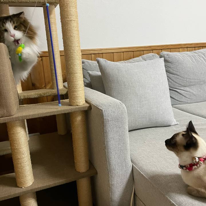 0ebb37ba 3380 4512 83e3 9143ac55c89d 1707687789808