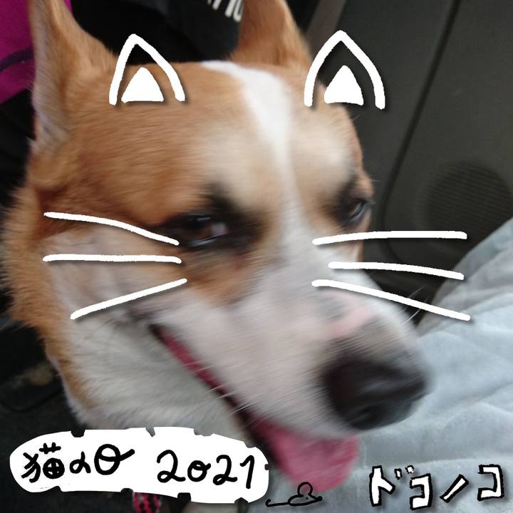 0ebb59eb 1285 4b89 a928 b38047af8f2d 1613973582193