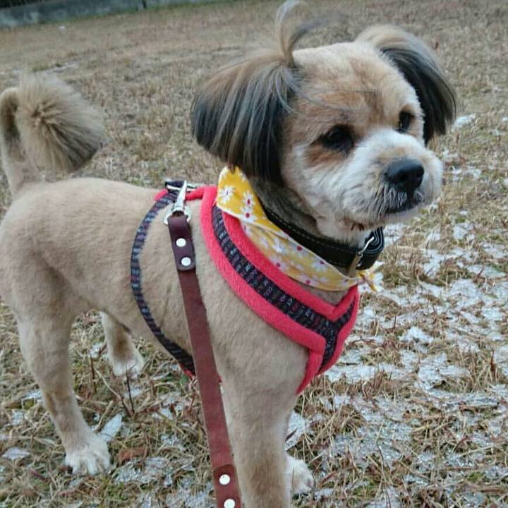 0ebb62c2 510c 46df 9da2 28b6801d036d 1515659102313