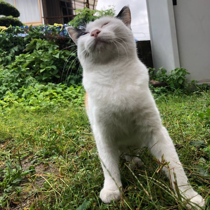 0ebb862c 371e 4797 9994 76bd530eb64a 1599775793835