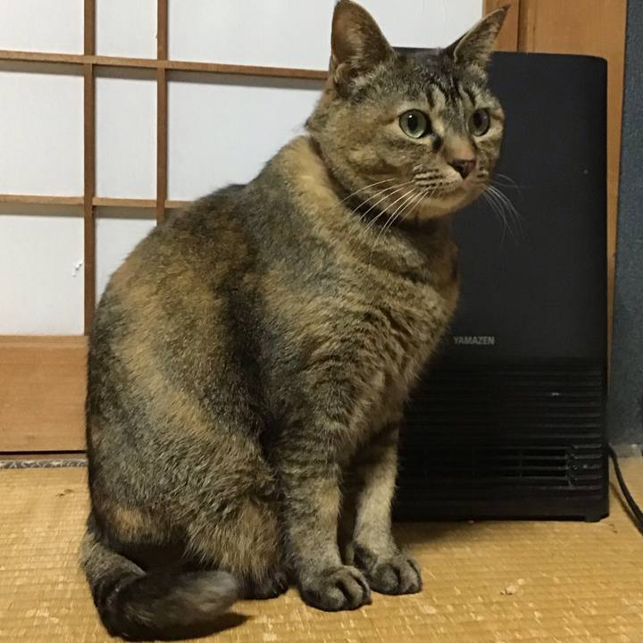 0ebb91ce aeb2 4418 85f5 6623d12b7a9c 1742300199900