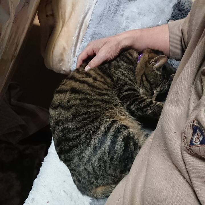 0ebb95a7 dad0 4ed1 a5d7 5c4dce2c79a9 1644581357805