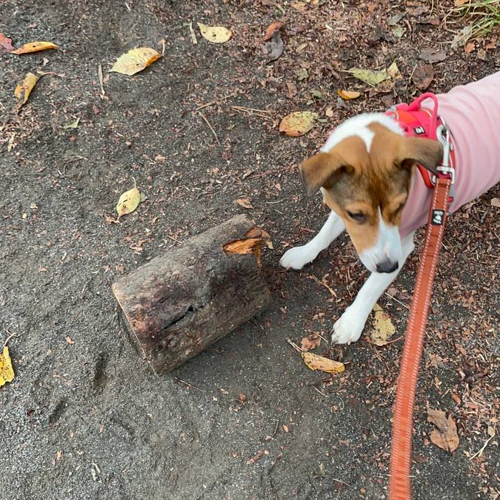 0ebba82a 46a1 4acf a36e 7ec0c71c1251 1700820726880