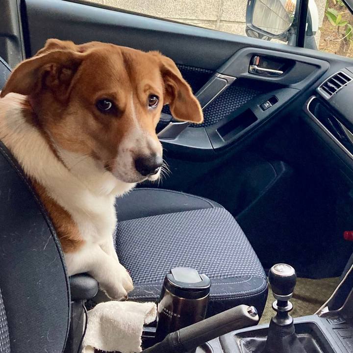 0ebbffb1 c5d5 45c2 8980 131c9a5f7b8a 1642226182054