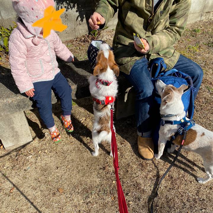 0ebc13eb 6d7b 4762 a5a1 496de48a7e54 1641118029177