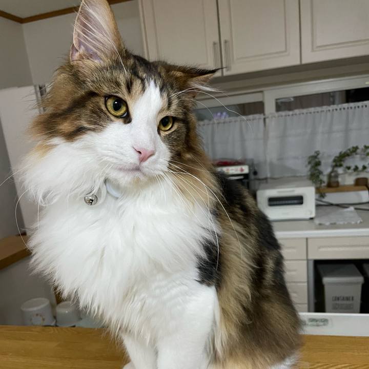 0ebc2031 1d54 4f6c 8f36 b50742e6f649 1643313998609