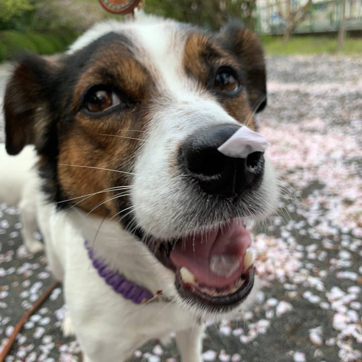 0ebc31e8 20ab 4187 bbf4 503f6e8fc970 1587277420836