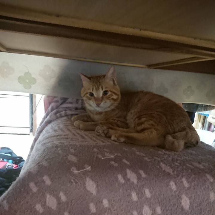 0ebc364a 7fbb 4159 a170 854a42600f25 1645393496661