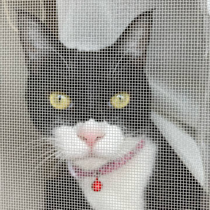 0ebc6bcb 49ef 4fed bb0a 251fe7a3f1a5 1618887934249