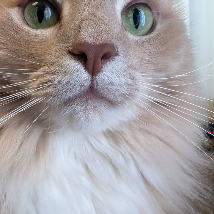 0ebcaff3 10cf 4cfc ab2c 53e28a42dab9 1718024721946