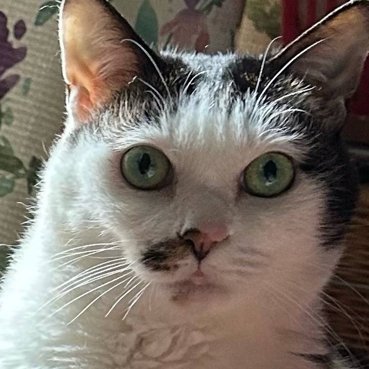 0ebcb848 ecd1 4eb9 bc91 0c59aab1793b 1773455002090