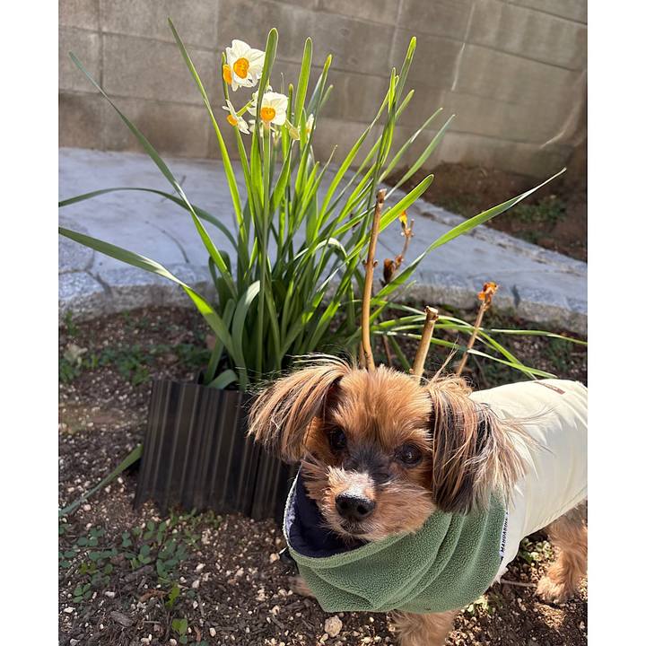 0ebcbdf9 57fb 4e3b 974d 0da083910ee5 1770005932212