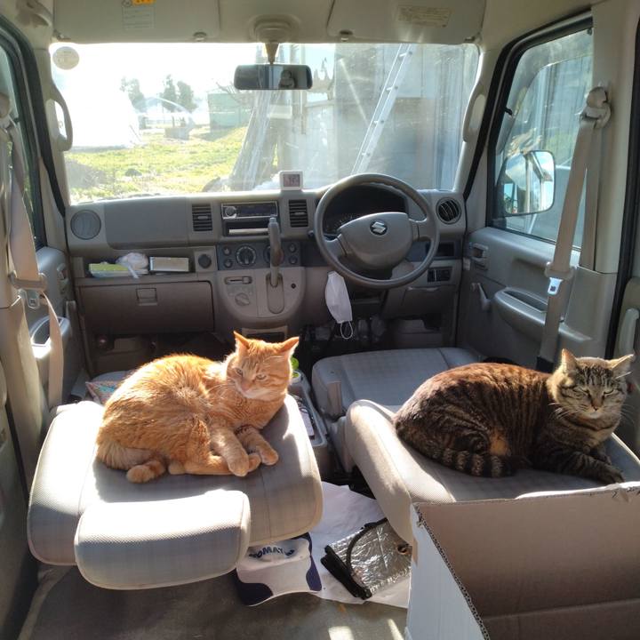 0ebcf71d 90e1 4936 b2fe 3decb22de2d0 1682236817622