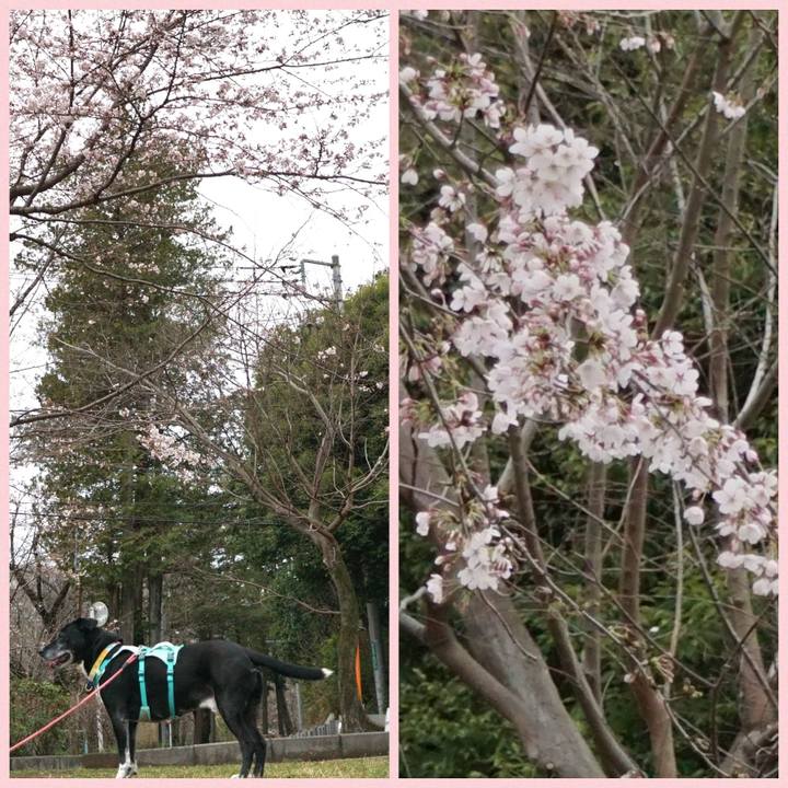 0ebd026c d554 4260 88fb 6a31fe0fd516 1773967337453