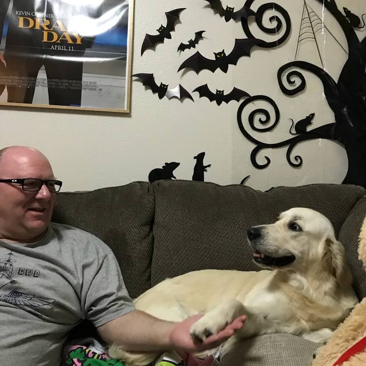 0ebd076a 7e84 42e3 978e 4a50e363cb58 1509786573390