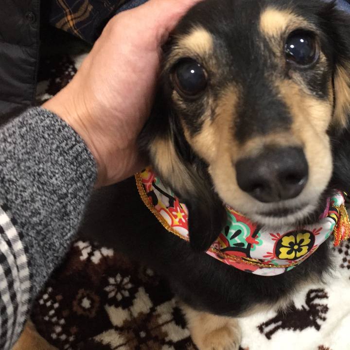 0ebd0801 2cb7 4f24 86cd 37743a13f0a4 1514381728796