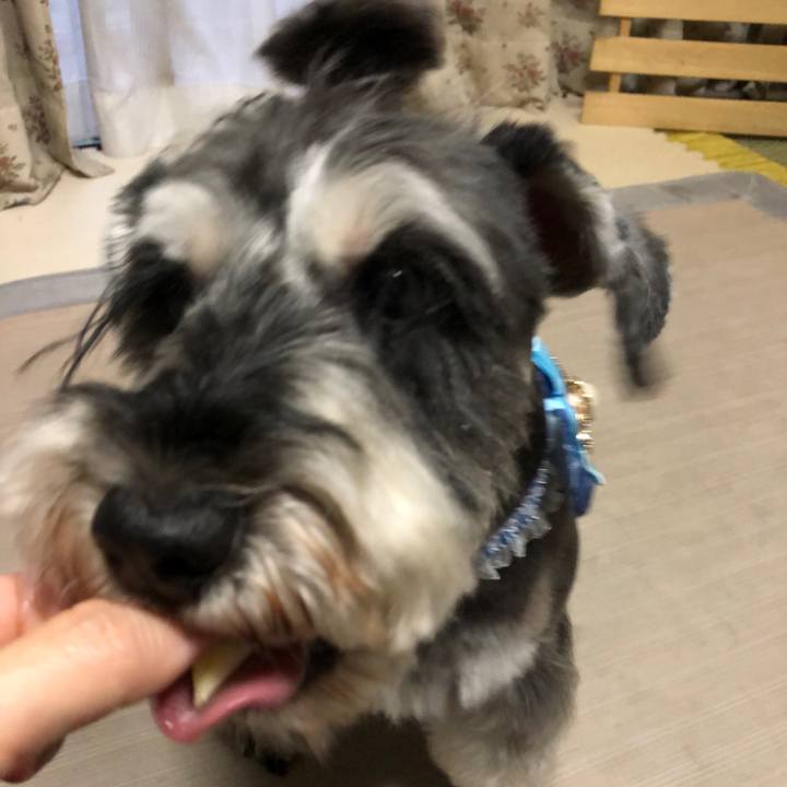 0ebd1b3d 0668 4002 85e0 ca11b5ee67dc 1631183247053