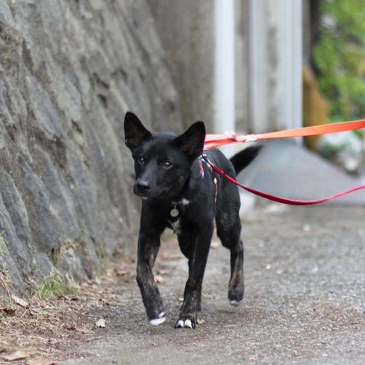 0ebd2db8 9059 4e16 8c7c 78354b8d97f8 1509078944058