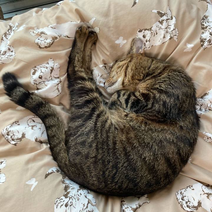 0ebd3b13 b846 496c 8c1c df81469bb918 1714117514730