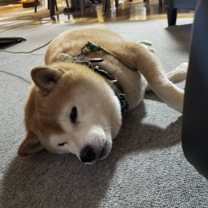 0ebd478a 9929 4aa1 bebe 2e40572a59ef 1703979320278