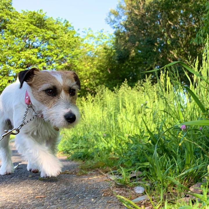 0ebd51e2 02b1 4f1d 9b31 a4b858777e4f 1589183688042