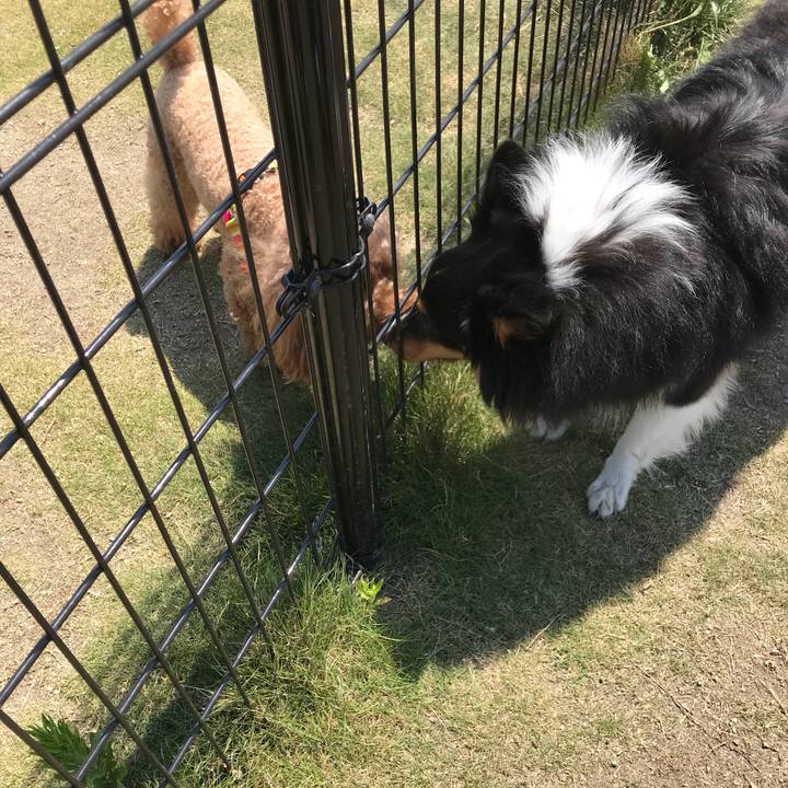 0ebd6769 f504 4079 9359 2a85667a3ccb 1529813348563