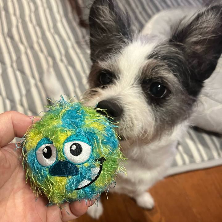 0ebd7b42 ccde 457c 9410 34b1e0d278da 1758947940817