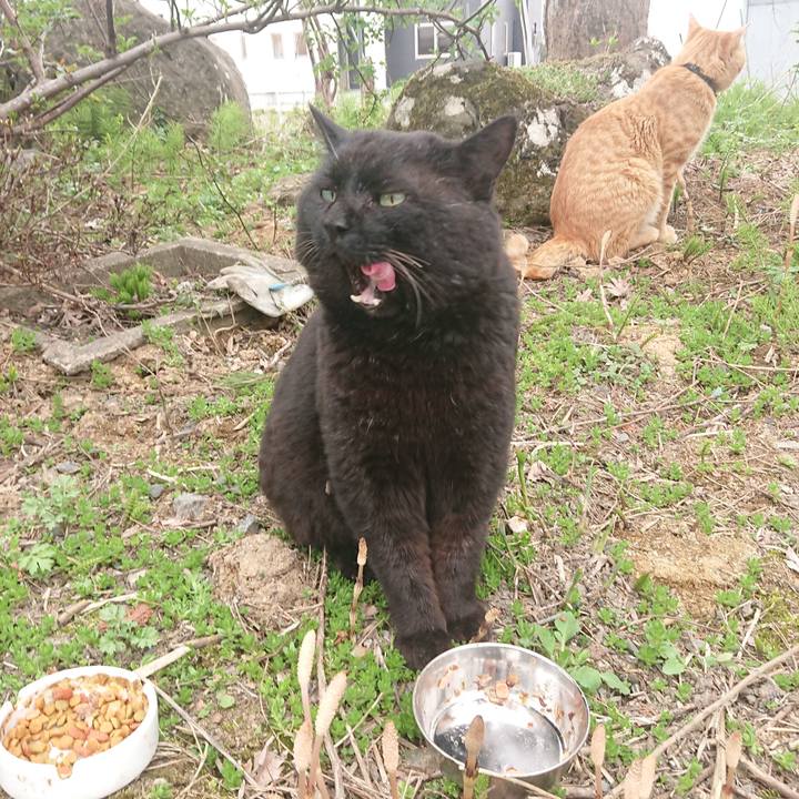 0ebd8358 bda7 4ef6 95df 7dade265a8a0 1650805426455