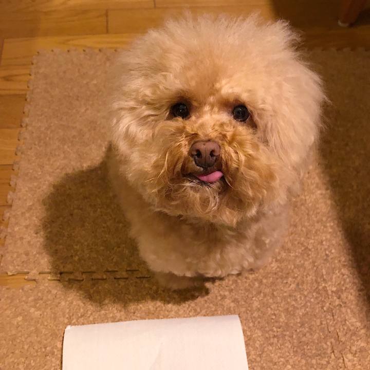 0ebd87ef 054c 49f7 a976 4033177513cb 1549537409734