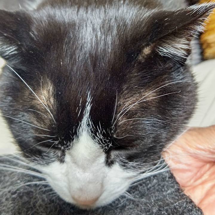 0ebdc05d 26a2 4d56 bef8 7156b2f46863 1640944924060