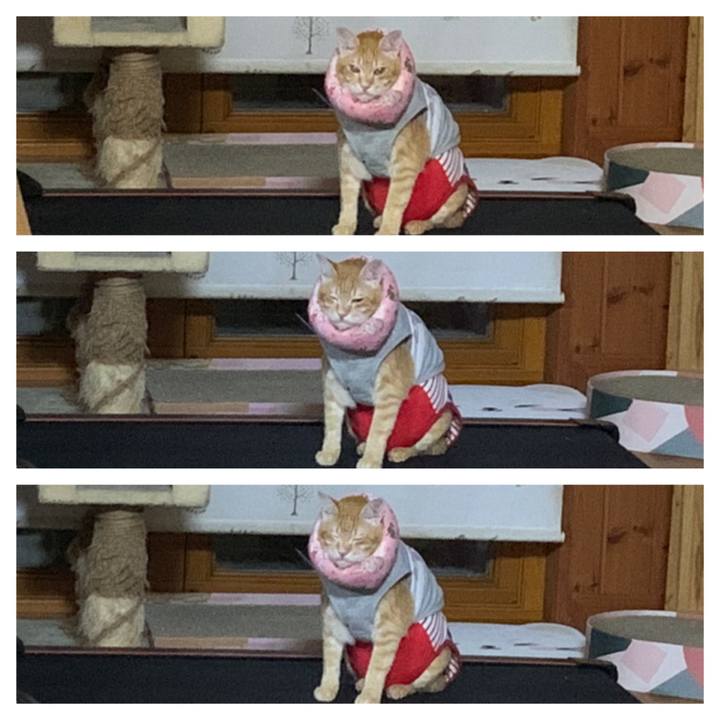 0ebe143e e1f2 4397 9ef5 8fc9bf63b7dd 1628168483201