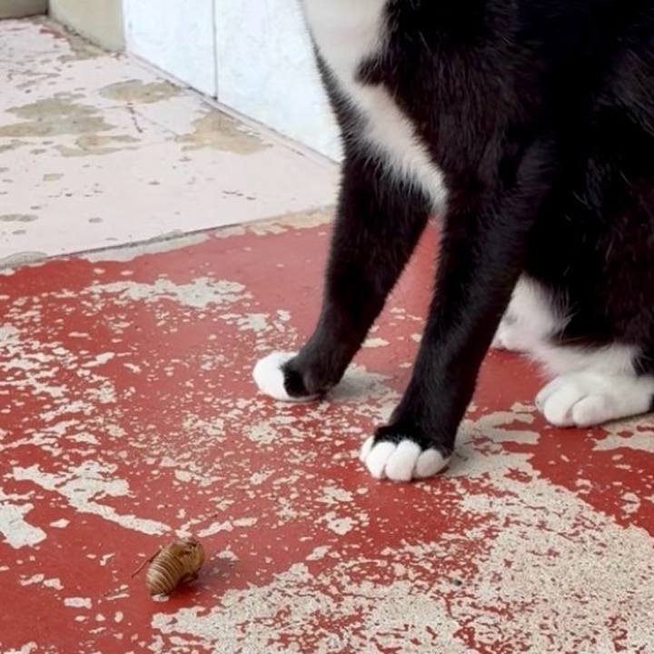 0ebe1fa8 6e40 45a7 9d94 8e3d5b091a8f 1753152585411