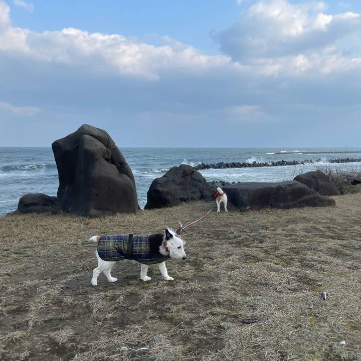 0ebe30b3 afe6 44c5 8010 aaf9be38d029 1774052794949