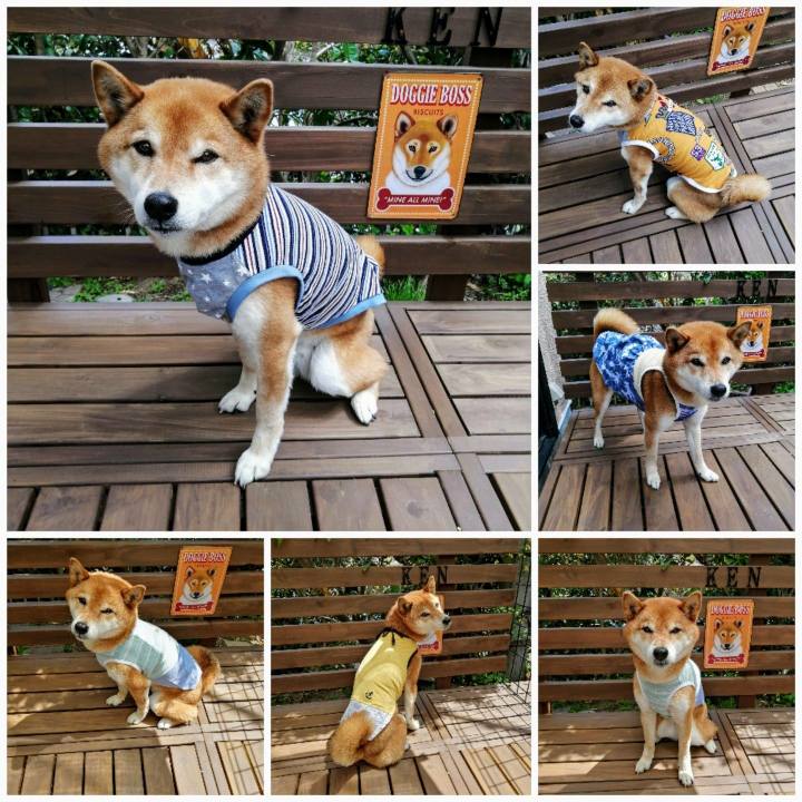 0ebe35f3 fa4b 407c 9559 795f24bd0789 1618108284807