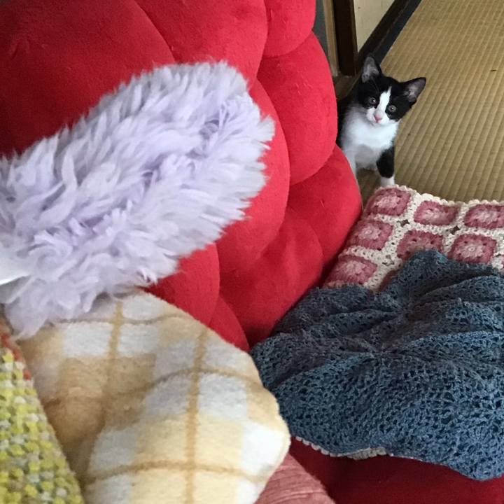 0ebe6d65 9eb4 46aa 913e 7413f64834a4 1625644167308