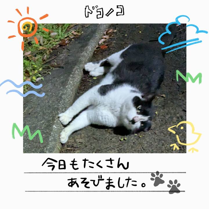 0ebe8594 862e 4d6b 8cdb a0ff0d9010fe 1755058641884