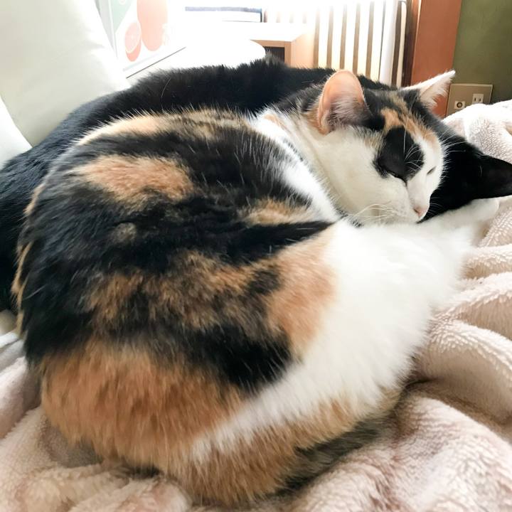 0ebeb1e4 5a9a 4388 9295 e359b229ce8e 1516534070274