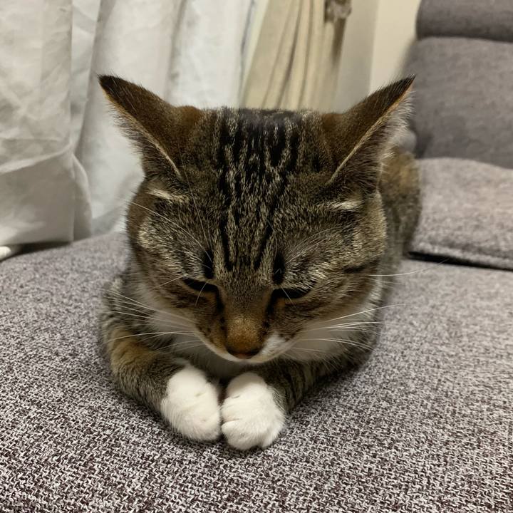 0ebeb29c 9a2b 4422 99bc acf3ee0eb3fd 1557147030041