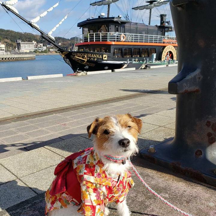 0ebec8dc 6887 4a48 a034 705d947b0a8c 1577855331808