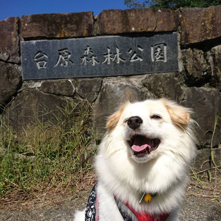 0ebeea64 4ffc 47e9 89bf e2ab3dc1f81f 1537673737561